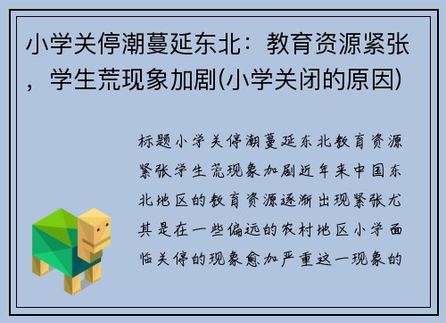 小学关停潮蔓延东北：教育资源紧张，学生荒现象加剧(小学关闭的原因)
